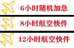 硕放空运公司快递公司,专业空运当天件